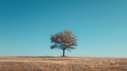 A solitary tree standing tall against the vast expanse of a sunny, cloudless sky. - Powered by Adobe