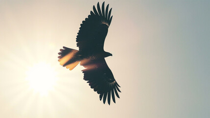 A majestic eagle soaring high above, silhouetted against a clear, sunny sky.
