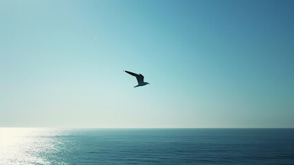 Fototapeta na wymiar A lone seagull soaring gracefully in the vast expanse of a clear, sunny sky.