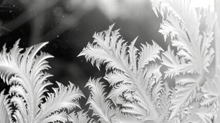 The delicate patterns of frost on a window  AI generated illustration