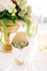 Invitation echeveria in a paper cup with a heart stands on a set holiday table