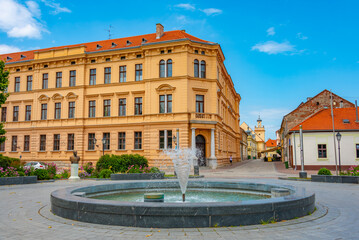 Naklejka premium Pedestrian street in the old town of Osijek, Croatia