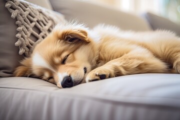 furry dog peacefully asleep on a soft, fluffy pillow, showcasing a moment of serenity and comfort