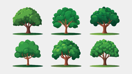 Fototapeta premium Flat Design Illustration: Tree Vector Collection on White Background