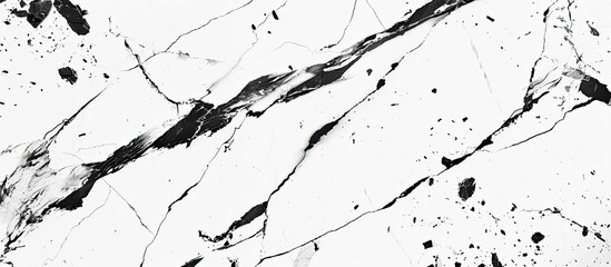 A monochrome photography capturing the intricate pattern of a marble texture, with parallel lines resembling wood grain and a twig sitting on the slope of the surface - obrazy, fototapety, plakaty