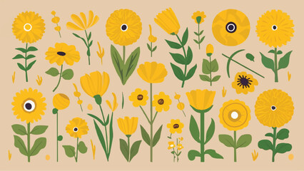 Yellow Field Flowers and Bouquet Vector Illustration