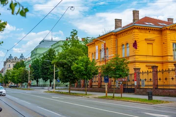 Foto op Plexiglas Mansion at European Avenue in Croatian town Osijek © dudlajzov