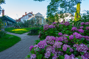 Obraz premium Alexandru Borza Botanical Garden in Romanian town Cluj-Napoca