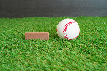 芝生と野球ボールとブランクの木

