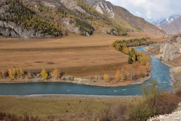 Photo sur Plexiglas Monts Huang A view from above at the bends of the channel of a beautiful river with coniferous forest along the banks flowing through a yellowed mountain valley on an autumn sunny day.
