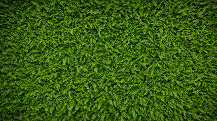 Background and texture patterns