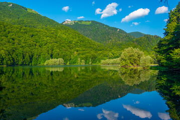 Obraz premium Biogradska Gora national park in Montenegro