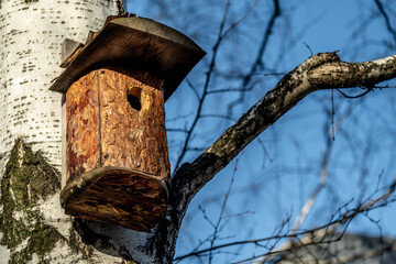 Birdhouse for birds on a birch tree in the forest.