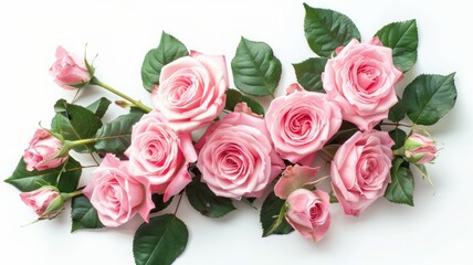 Obraz premium Pink roses bunch lies on white background - Beautiful bouquet of pink roses spread out on a white background highlighting freshness and floral beauty