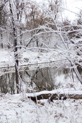 Fresh snowfall in a forest with a glassy river reflecting the trees.