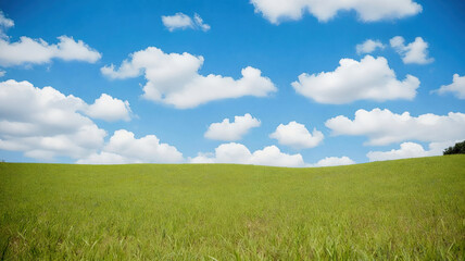 Obraz premium Background and texture patterns