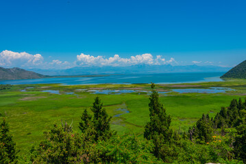 Obraz premium Panorama view of Skadar lake in Montenegro