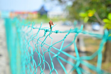 Solid metallic mesh fence closeup.