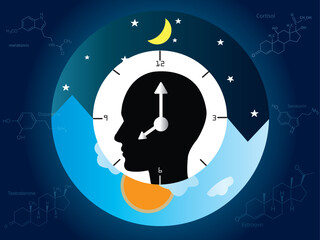 The circadian rhythms are controlled by circadian clocks or biological clock these clocks tell our brain when to sleep, tell our gut when to digest and control our activity in several day.