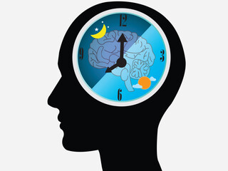 The circadian rhythms are controlled by circadian clocks or biological clock these clocks tell our brain when to sleep, tell our gut when to digest and control our activity in several day.