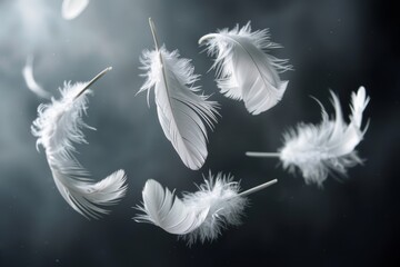 Obraz premium Group of White Feathers Floating in Air