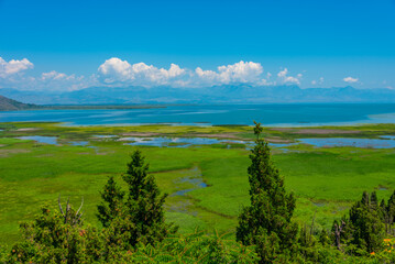 Fototapeta na wymiar Panorama view of Skadar lake in Montenegro