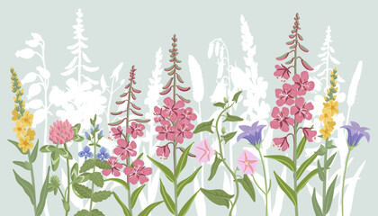 field flowers, vector drawing wild plants at blue sky background, floral composition, hand drawn botanical illustration