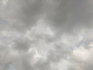 Fototapeta premium 東京のそら(24.4.8)