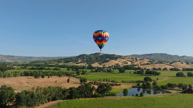 Hot Air Balloons over Napa Valley with Blue Sky and Green Vineyards of Grapevines