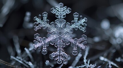 The intricate pattern of a snowflake on a dark surface showcasing its unique structure and symmetry - obrazy, fototapety, plakaty