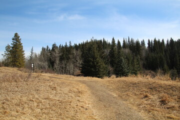 Path To The Woods, Whitemud Park, Edmonton, Alberta
