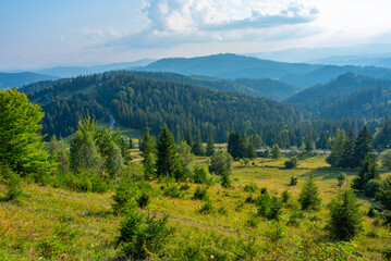 Summer day at Ciumarna pass in Romania