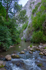 Summer morning at Turda gorge in Romania