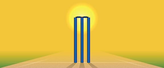 cricket pitch with stumps. low angle view.  - obrazy, fototapety, plakaty