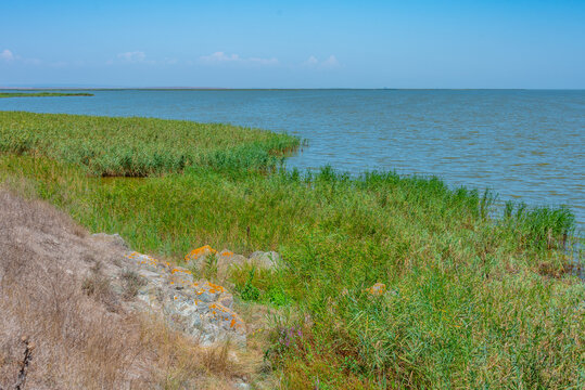 Summer day at Danube delta in Romania