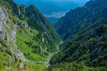 Fototapeta premium Summer day at Caraiman valley leading to Bucegi mountains near Busteni village in Romania