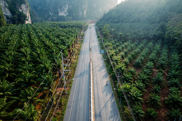 Straight road and palm trees and rocky mountains at Krabi, way to the sea.