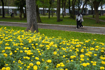 Fototapeta premium person walking in the park