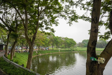 Obraz premium lake in the park