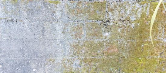 The wall of the house building