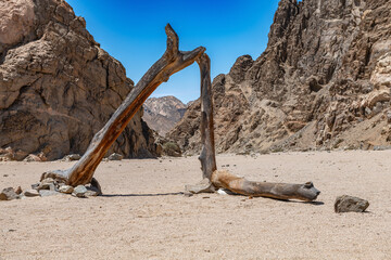 Gravel road in the valley of the dry Swakop River, Namibia