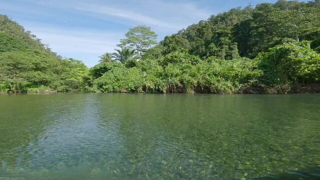 Tropical Rainforest  in Wasai At the bank of Kali Biru (Blue River) In Raja Ampat, National Reserve, Indonesia. POV Shot