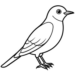 bluebird line art vector