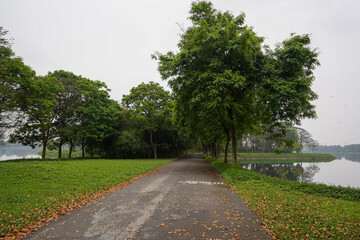 road in the park