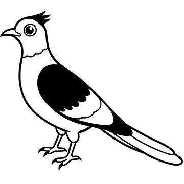 recommend clip art: cuckoo line art vector