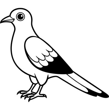 recommend clip art: cuckoo line art vector