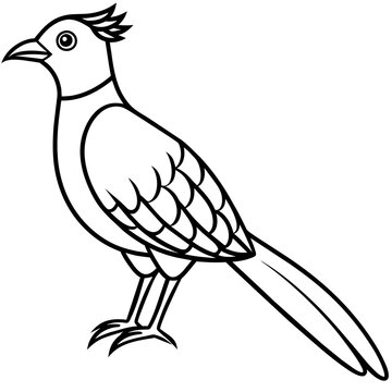 recommend clip art: cuckoo line art vector