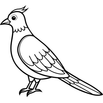 recommend clip art: cuckoo line art vector