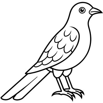 recommend clip art: cuckoo line art vector