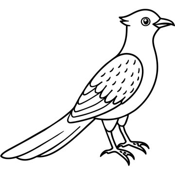 recommend clip art: cuckoo line art vector